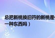 总把新桃换旧符的新桃是什么东西（新桃换旧符新桃指的是一种东西吗）