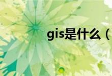 gis是什么（gis是什么意思）