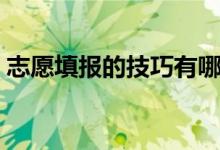 志愿填报的技巧有哪些（怎么报志愿比较好）