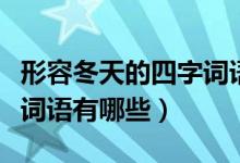 形容冬天的四字词语及解释（形容冬天的四字词语有哪些）