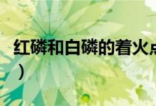 红磷和白磷的着火点分别是多少（红磷和白磷）