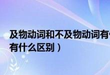 及物动词和不及物动词有什么差别（及物动词和不及物动词有什么区别）