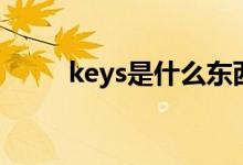 keys是什么东西（keys是什么车）