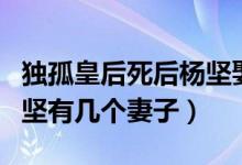 独孤皇后死后杨坚娶了谁（独孤皇后的丈夫杨坚有几个妻子）