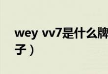 wey vv7是什么牌子的（wey vv7是什么牌子）