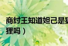 商纣王知道妲己是狐狸（商纣王知道妲己是狐狸吗）