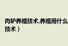 肉驴养殖技术,养殖用什么饲料（肉驴多久才能配种肉驴养殖技术）