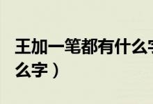 王加一笔都有什么字100个（王加一笔都有什么字）