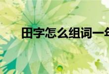 田字怎么组词一年级（田字怎么组词）