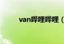 van哔哩哔哩（b站van是什么梗）