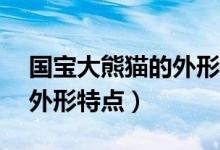 国宝大熊猫的外形特点50字（国宝大熊猫的外形特点）