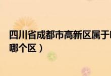 四川省成都市高新区属于哪个区（四川省成都市高新区属于哪个区）