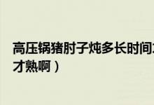 高压锅猪肘子炖多长时间才熟啊（高压锅猪肘子炖多长时间才熟啊）