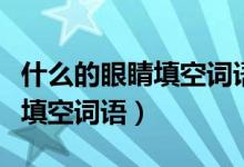 什么的眼睛填空词语一年级动词（什么的眼睛填空词语）