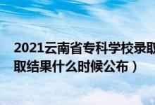 2021云南省专科学校录取通知什么时候（2021云南专科录取结果什么时候公布）