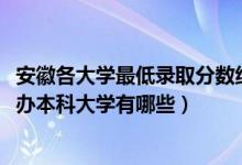 安徽各大学最低录取分数线（2022安徽录取分数线最低的公办本科大学有哪些）