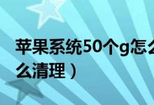 苹果系统50个g怎么清理（苹果系统30个g怎么清理）