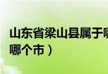 山东省梁山县属于哪个省（山东省梁山县属于哪个市）