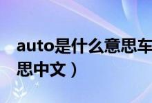 auto是什么意思车上的开关（auto是什么意思中文）