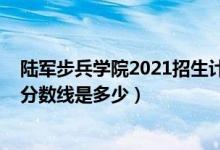 陆军步兵学院2021招生计划（2021陆军步兵学院各省录取分数线是多少）