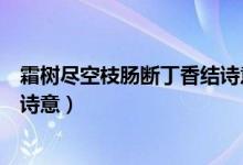 霜树尽空枝肠断丁香结诗意是啥（霜树尽空之肠断丁香结的诗意）