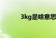 3kg是啥意思（3Kg是多少斤）