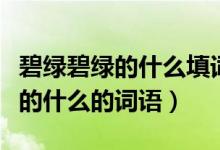 碧绿碧绿的什么填词语一年级下册（碧绿碧绿的什么的词语）