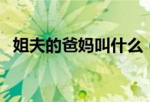 姐夫的爸妈叫什么（姐夫的爸妈怎么称呼）