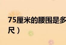 75厘米的腰围是多大（75厘米的腰围是多少尺）