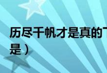 历尽千帆才是真的下一句（历尽千帆尽下一句是）