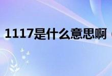 1117是什么意思啊（1118到底是什么意思）