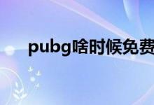 pubg啥时候免费获取（pubg啥意思）