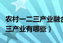 农村一二三产业融合发展试点项目（农村一二三产业有哪些）