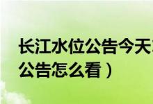 长江水位公告今天11点（长江每日11点水位公告怎么看）