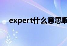 expert什么意思啊（EXPERT什么意思）