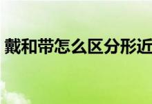 戴和带怎么区分形近字（戴和带怎么区分用）