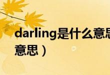 darling是什么意思中文（英语darling什么意思）