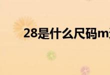 28是什么尺码m还是l（28是什么梗）