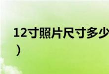 12寸照片尺寸多少（12寸照片尺寸多少厘米）