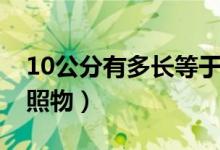 10公分有多长等于一米吗（10公分有多长参照物）