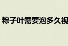 粽子叶需要泡多久视频（粽子叶需要泡多久）