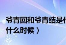 爷青回和爷青结是什么意思（爷青结一般用在什么时候）