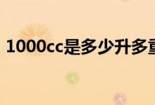 1000cc是多少升多重（1000cc是多少排量）