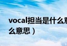 vocal担当是什么意思中文（vocal担当是什么意思）