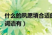 什么的夙愿填合适的词（什么的夙愿填合适的词语有）