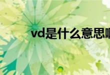 vd是什么意思啊（vd是什么意思）