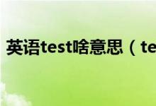 英语test啥意思（test英语中文是什么意思）