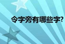 令字旁有哪些字?（令字旁还有什么字）