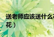 送老师应该送什么花（6种适合献给老师的鲜花）