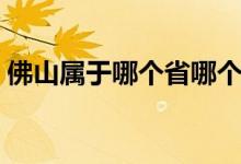 佛山属于哪个省哪个地区（佛山属于哪个省）